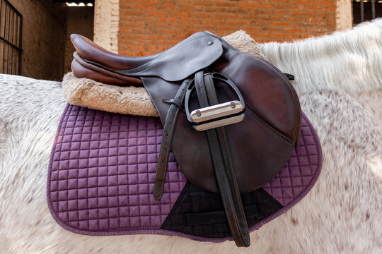 Leather horse saddle on white horse with purple pad