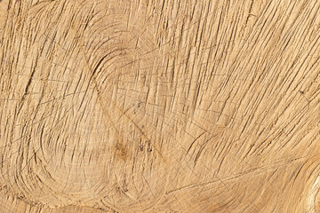 Texture of a wooden cut. Wood background.
