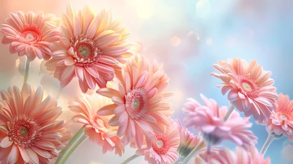 Zelfklevend Fotobehang Ethereal Pink Gerbera Flowers © TY