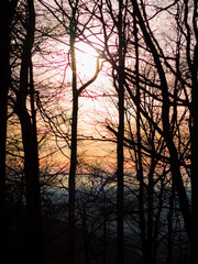 Silhouetten von Bäumen bei Sonnenuntergang