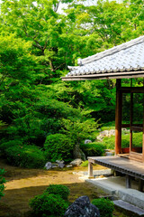 新緑が美しい頃の京都鷹峯源光庵の風景