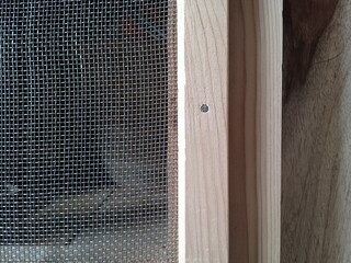 close up of an window with shutters