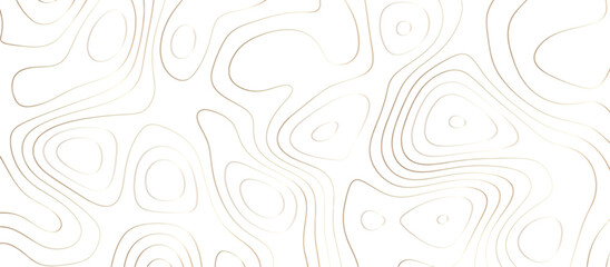 Abstract topography wavy line map background. vector illustration. topography map on land vector terrain Illustration. Black on white contours vector topography stylized height of the lines.	