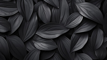 Closeup tropical black leaves texture and dark tone process, abstract nature pattern background