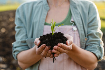 Young green plant in hands in background of agricultural field. Concept of Sustainability