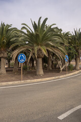 Rondo z palmami na środku, Wyspy Kanaryjskie, Fuerteventura, El Cotillo
