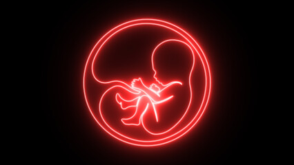 Glowing baby and a placenta. Human baby in the womb and Pregnancy fetal development.