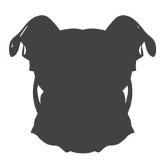 dog wearing sunglasses