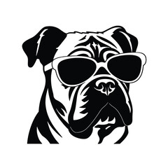 dog wearing sunglasses