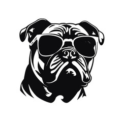 dog wearing sunglasses