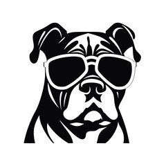 dog wearing sunglasses