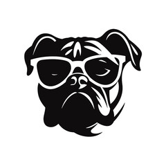 bulldog with sunglasses