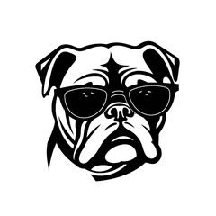 bulldog with sunglasses