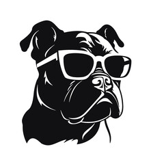 bulldog with sunglasses
