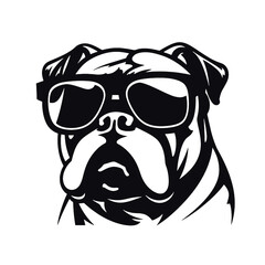 bulldog with sunglasses