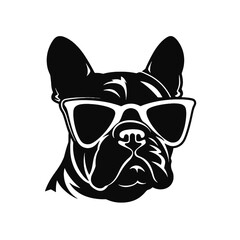 bulldog with sunglasses
