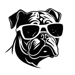 bulldog with sunglasses