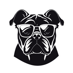 bulldog with sunglasses