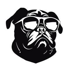 bulldog with sunglasses