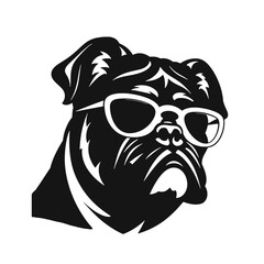 bulldog with sunglasses
