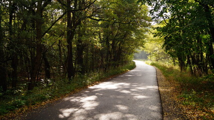 Obraz premium Waldstrasse