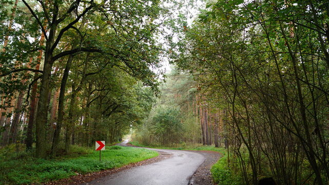 Waldstrasse