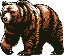 brown bear in the forest vector art illustration for t-shirt merch