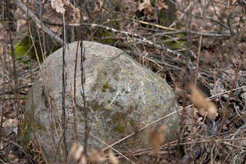 stone in the forest