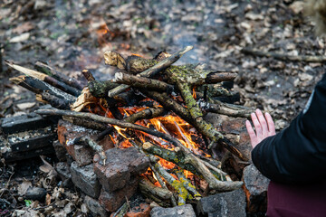 person in the garden