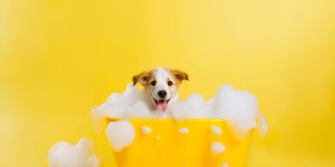 Happy wet dog taking a bath. Cute puppy in a bathtub with soap foam and bubbles. Pets cleaning or washing concept
