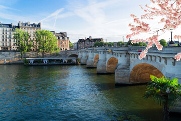 bridge Pont Neuf and Seine river with old houses of Cite island, Paris streets, France