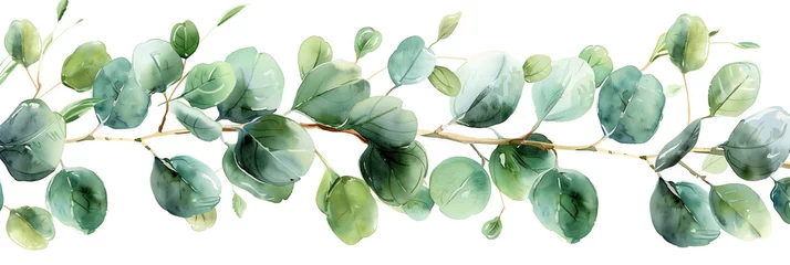Foto op Plexiglas Watercolor eucalyptus branches and leaves isolated on white, watercolor, white background  © fotogurmespb