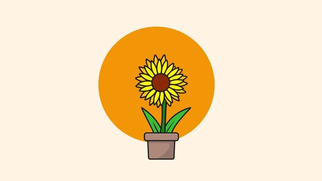 4k Sunflower Dancing in a Pot Animation