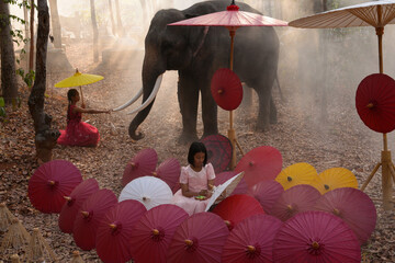 Asia Elephant in Thailand, Asia Elephants in surin . Elephant hometown , Thailand