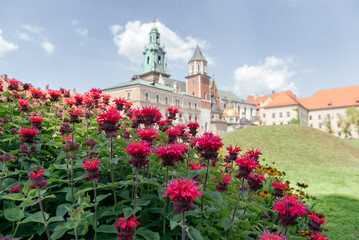Red Monarda flowers with a majestic historical castle rising in the soft-focus background