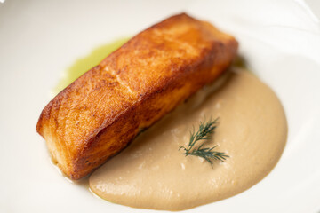Grilled salmon with two sauces on white plate