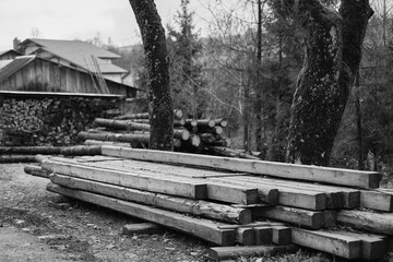 Log spruce trunks pile. Sawn trees from the forest. Logging timber wood industry. Cut trees along a...