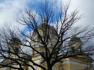 domes of the Orthodox cathedral behind the leafless tree