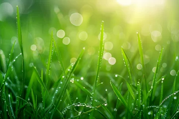 Rolgordijnen grass with dew © Rida