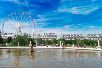 Obraz premium fountain of Tuileries garden with ferry wheel at summer, Paris, France