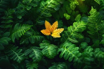 A single fern leaf with golden hues stands out against the lush greenery of a dense fern background, highlighting nature's diversity and color contrast.
