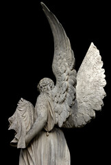 An angel with large wings is photographed from behind