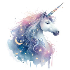 Floral Watercolor Unicorn Clipart Unicorn PNG Sublimation illustration 