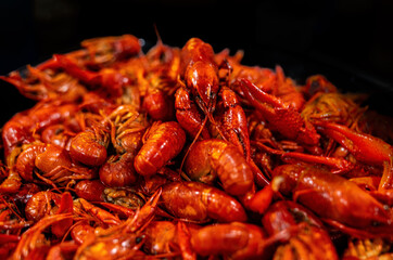 One Crawfish on a bed of other Boiled Crawfish 