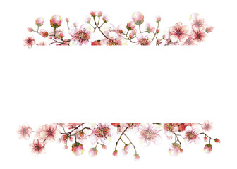 A blossoming branch from spring tree Hand drawn watercolor sakura, Japanese cherry or apple buds and flowers illustration. Springtime clipart Template for banner, card, label print Isolated background