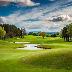 Naklejka premium golf course