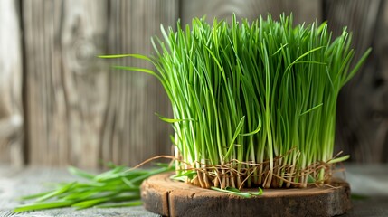 cluster of wheatgrass, known for its detoxifying and alkalizing properties