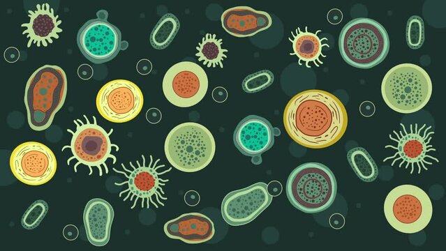 biology school, Bacteria in different shapes and colors, microorganism, Bacteria and germs colorful set, micro-organisms disease causing objects, different types, bacteria, viruses, fungi, protozoa