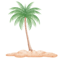 watercolor coconut palm tree 