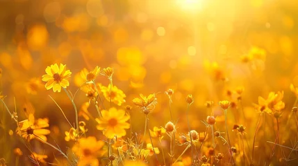 Wandcirkels tuinposter soft focus sunset field landscape of yellow flowers and grass meadow warm during golden hour © Media Srock